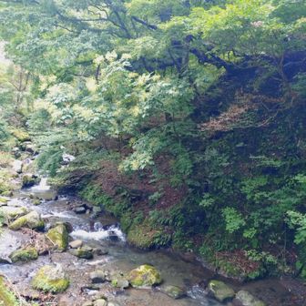 いい型のイワナあがってました