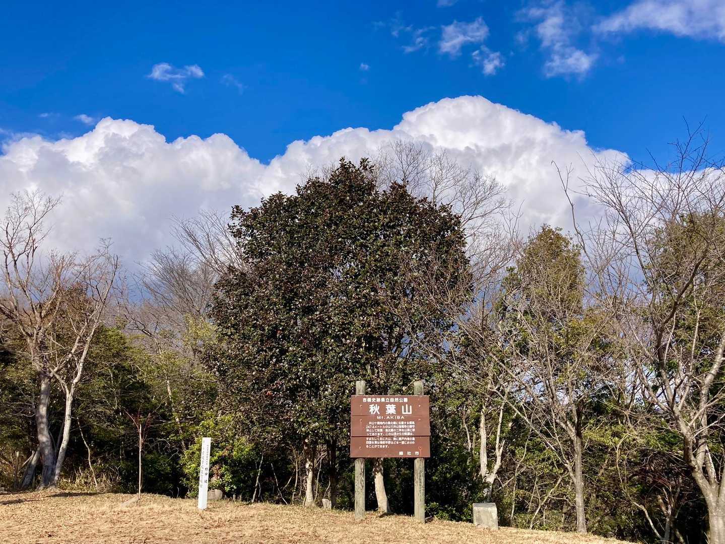 雲だけみるとまるで初夏
