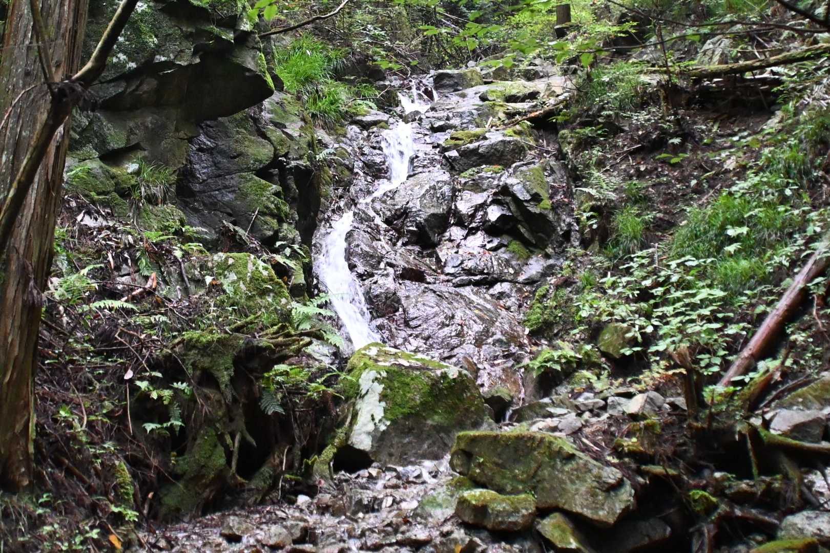 千早城入口-金剛登山口バス停-千早本道登山口-転法輪寺-金 周回コースの写真