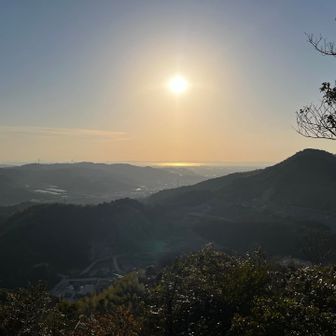 どーん🥳
いいっすねー