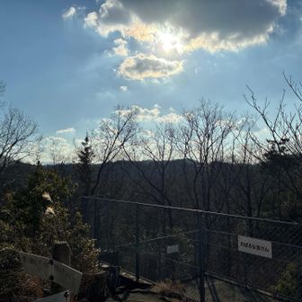 アンテナ山📡頂上から景色