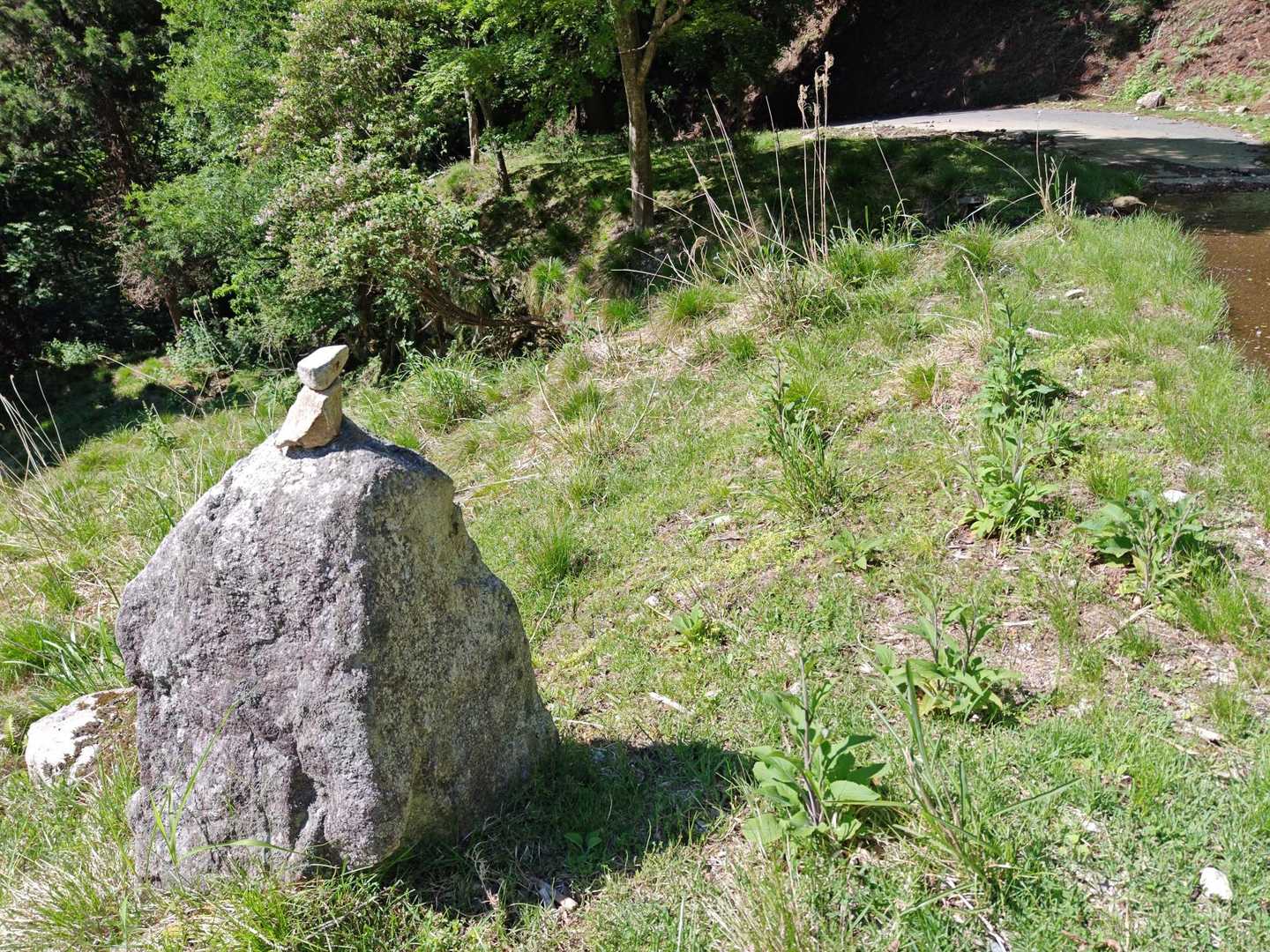 分岐の目印の岩🪨
ここ左側🫲に降りました。