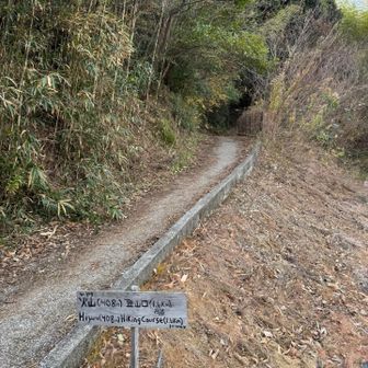 今日も無事ゴール👍