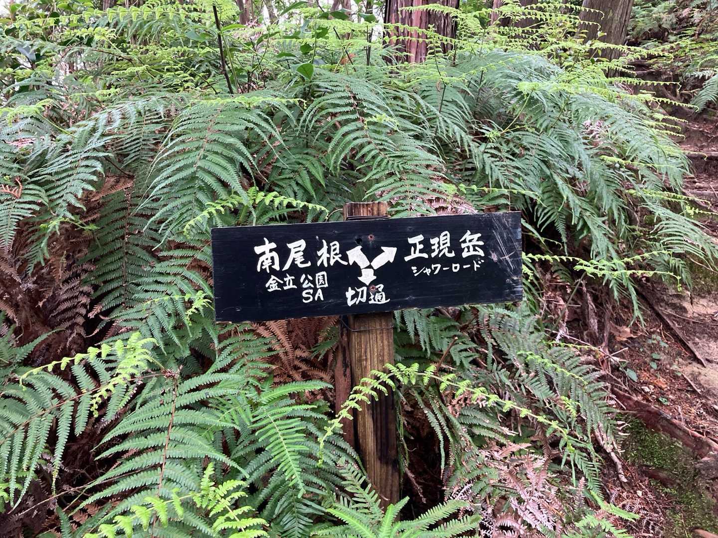 こっち👉