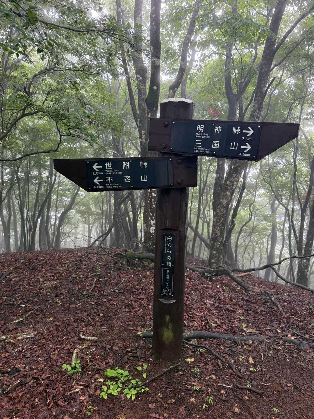 先週来なかったピークに😅