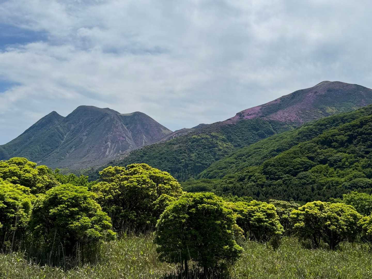 くじゅう連山
今日も一日有り難う御座いました🙇‍♂️