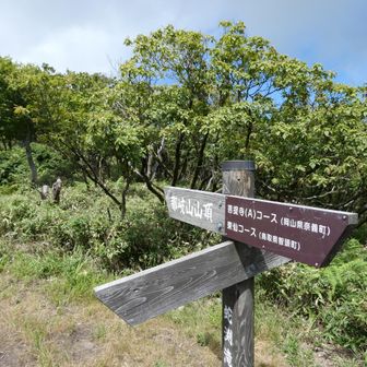 稜線でAコースと合流