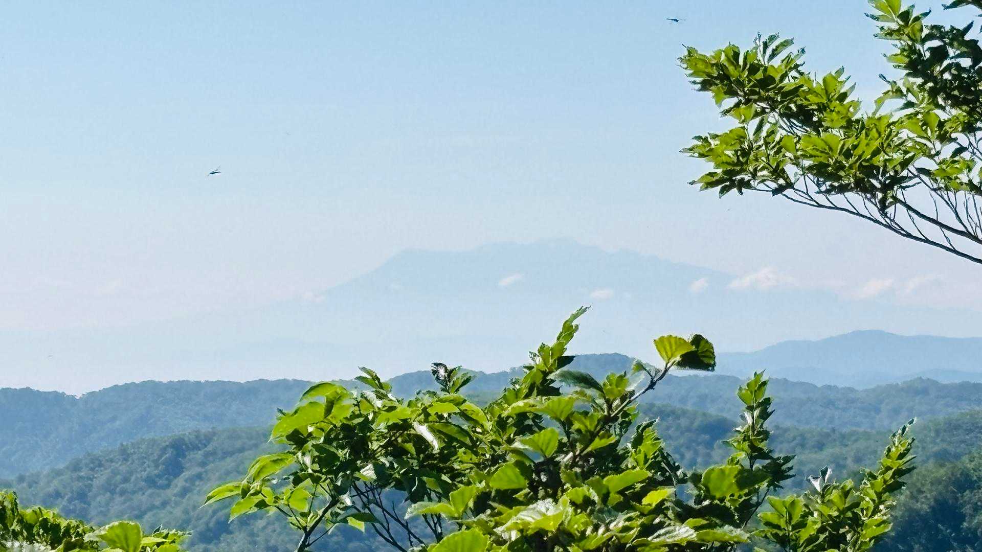 御嶽山?
今年は行きたい
