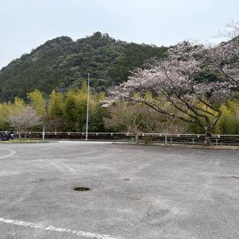 バスに乗ろうとしたけど、日曜日は運休でした🥹
歩いて駐車場に戻ってきたけど歩きやすくて、あっという間に駐車場に着きました


鳳来寺山には他のバリエーションもあるみたいなので再訪したい！