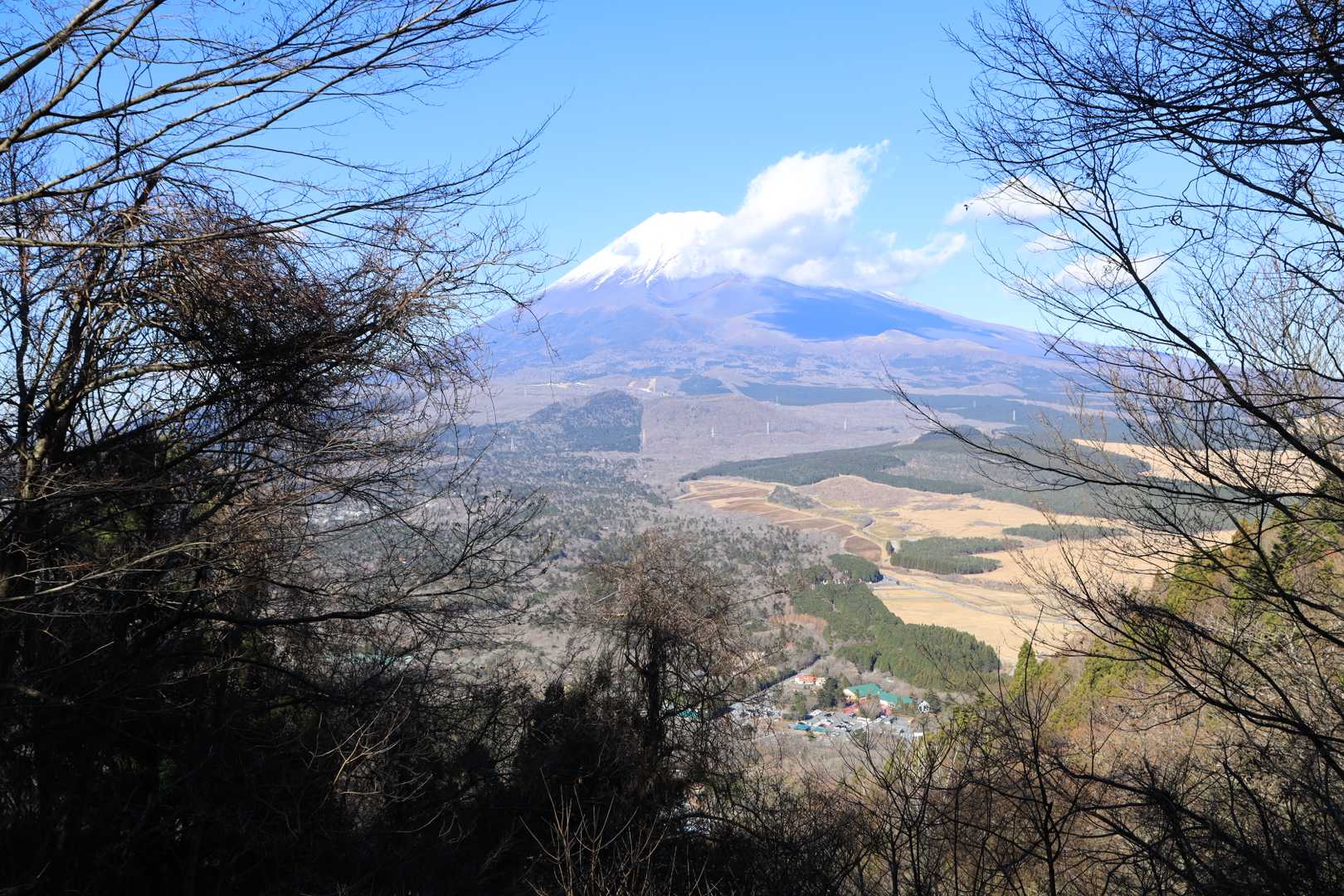 須山愛鷹登山口-富士見峠-黒岳-富士見台-越前岳 周回コースの写真