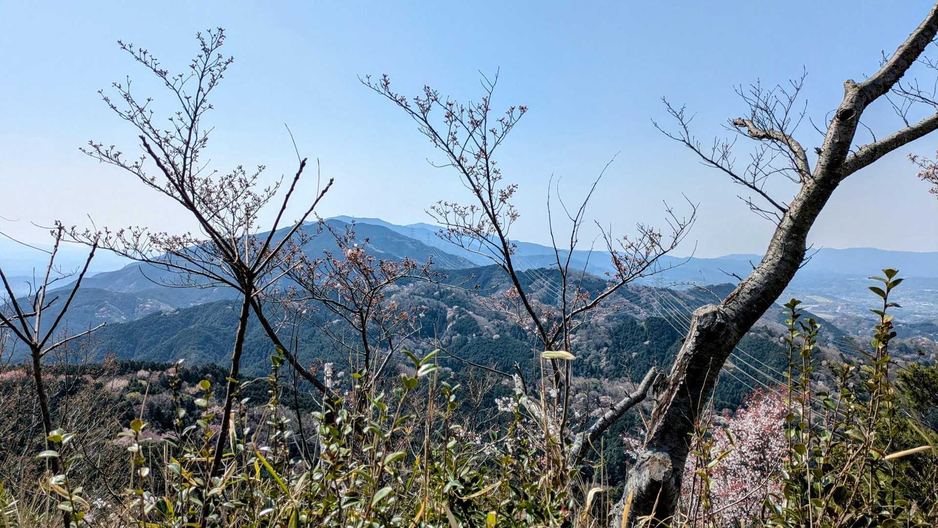 雌岳頂上から金剛山を望む👀🤩