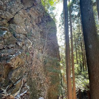 大竜頭はこの岩の上🪨