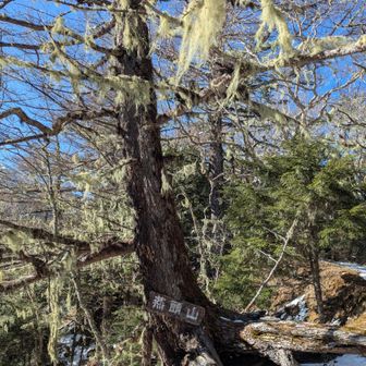 燕頭山(つばくろあたまやま)
漢字は二文字だけど、読みは長い
休憩ポイントです😄
ここでクランポンを外してチェンスパ装着