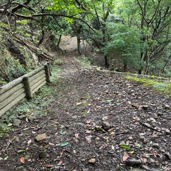 皆んなが待つ灯台に向かいます🏃‍➡️🏃‍➡️