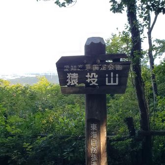猿投山着