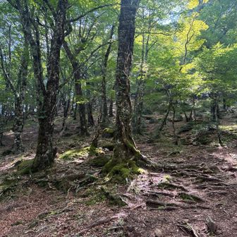 道が沢山あります。