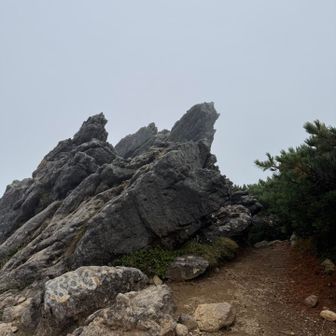 油坂の頭からの降りで神経と足を使いましたが、なんとか南竜山荘を14:00までに通過することが出来たので、本来の禅定道であるトンビ岩ルートを登りました。この道は足元が悪く疲れた足には堪えました。トンビ岩を過ぎたあたりから急に横殴りの暴風雨になりあと少しの白山室堂までの間にびしょ濡れになりました。