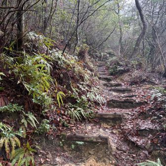歩きやすい〜🚶