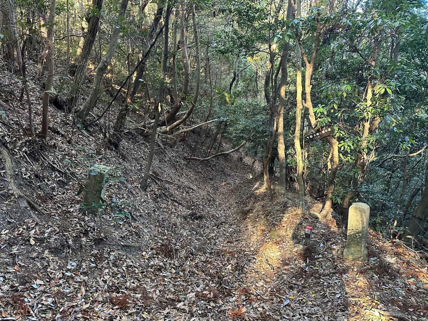 朝日山・シビレ山に向かいます。
北参道浦川山道を歩いていると、道標が二つ佇んでいました。