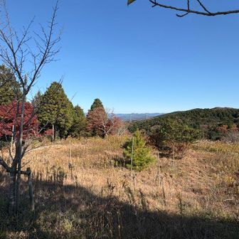 🅿️とうちゃく♩
キラキラな海は見れたし、
標高差600mオーバーは抗がん剤治療を始めてからの最高記録となりましたー🎶

でも、、
また明日から抗がん剤治療のため入院です🏥
治療も頑張るぞー👊
