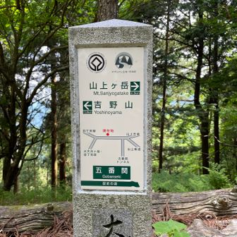 吉野山まで繋ぎたいところですが…。