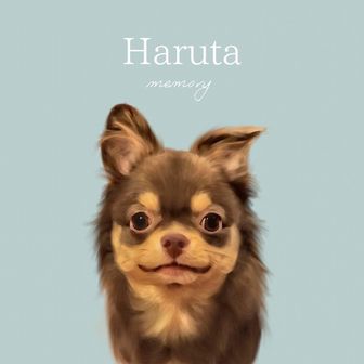 haruta_Mt