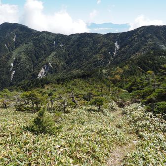 帰り道、奥念丈岳まで戻ってきた。
念丈岳と池ノ平山のアップダウンが待ってて、まだまだ油断ならない。