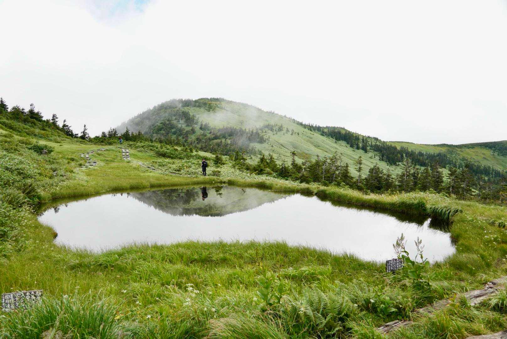 滝沢登山口-駒ノ大池-会津駒ヶ岳 往復コースの写真