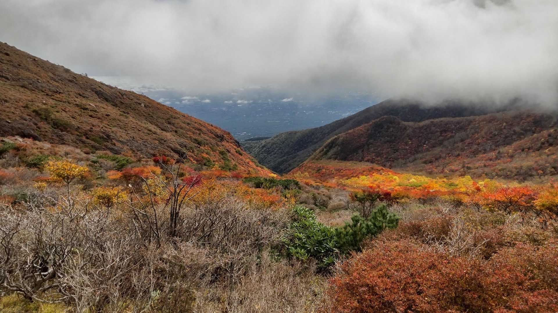 峠の茶屋登山口-茶臼岳 往復コースの写真