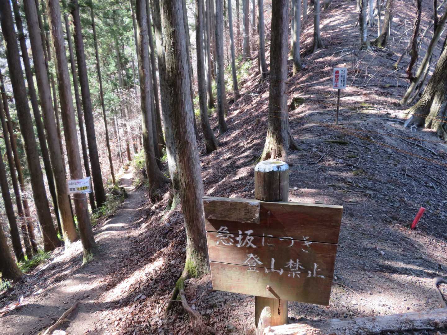 直進はかなりヤバそうです⛔