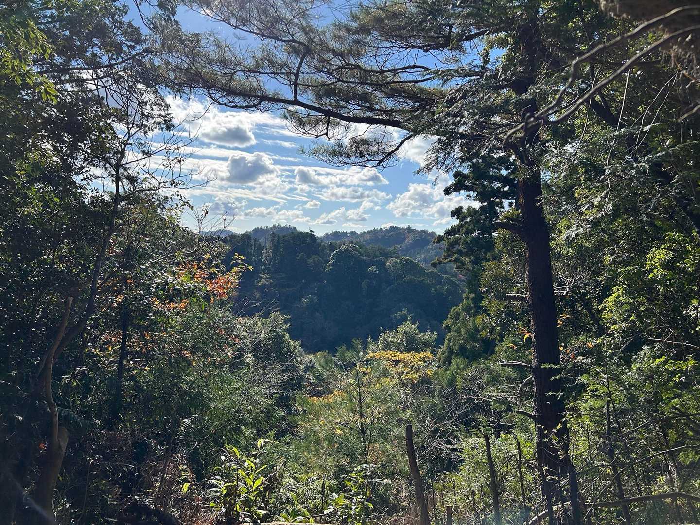 休憩場から