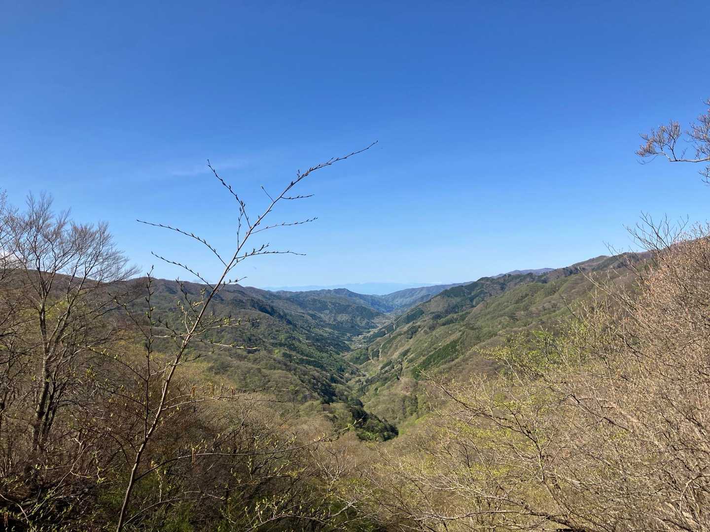 奥に大きな雪山が肉眼では見える。
山座同定アプリでは、北岳となっているがほんとうかなぁ〜🤔