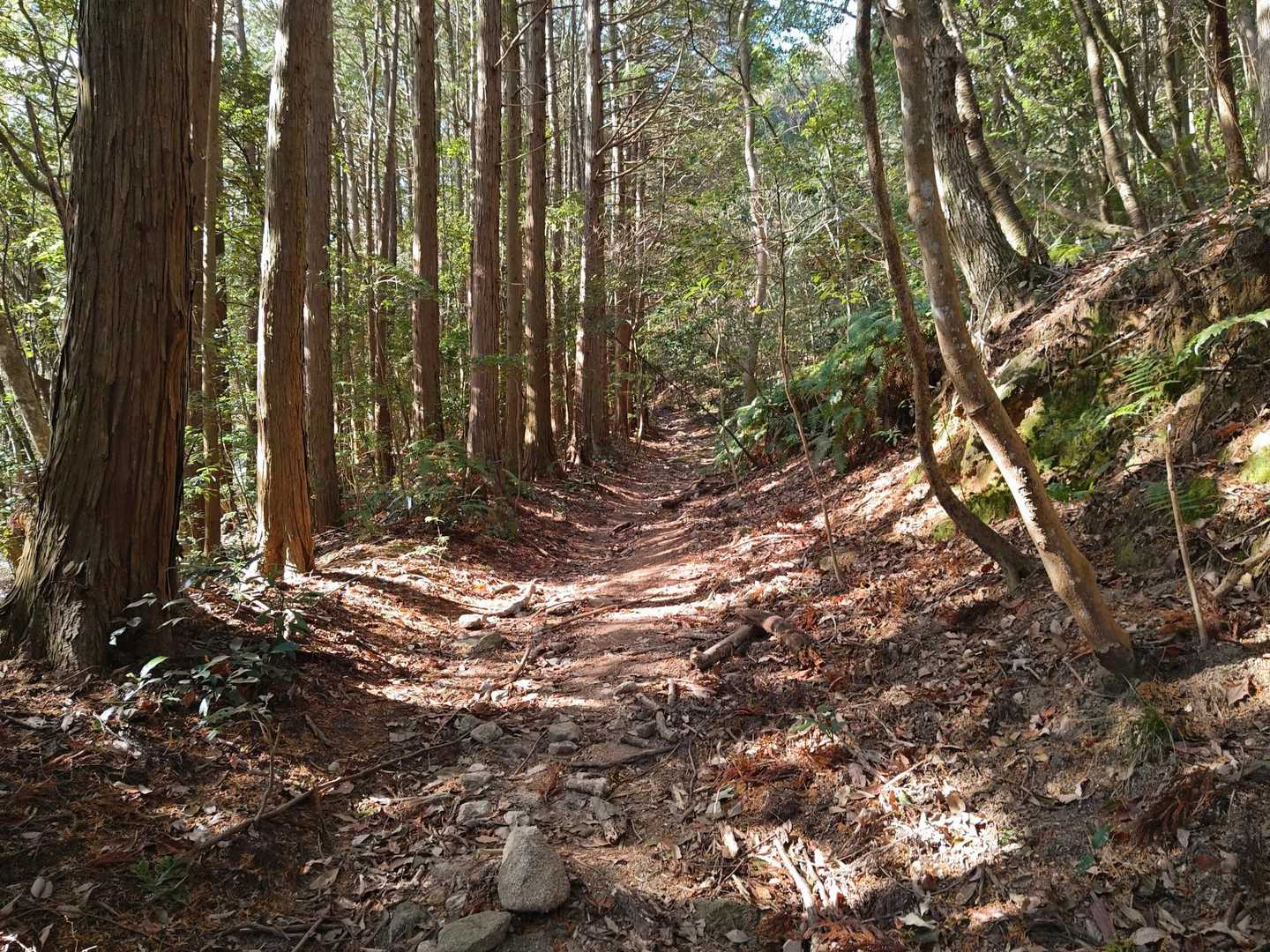 福岡市内から気軽に、山頂の鐘を撞く鐘撞山の写真
