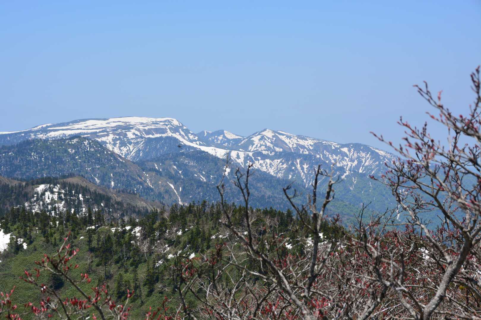 左側のなだらかな山は、苗場山でいいのかな？で、右に神楽が峰。