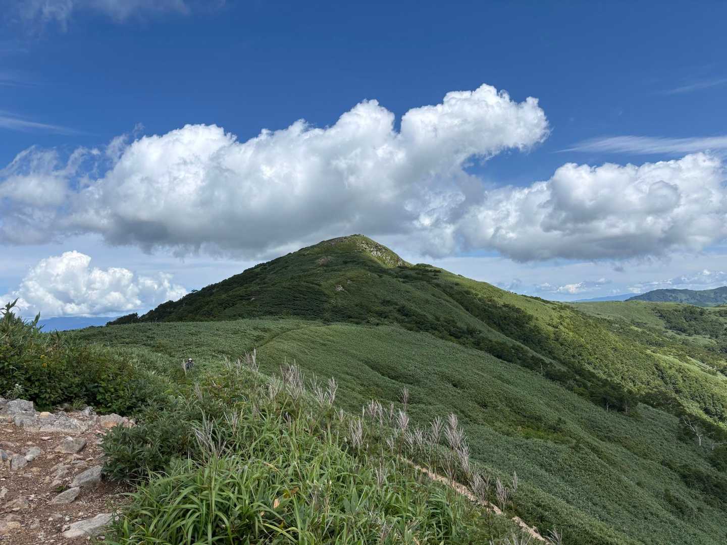 稜線に出たところから、白樺山！