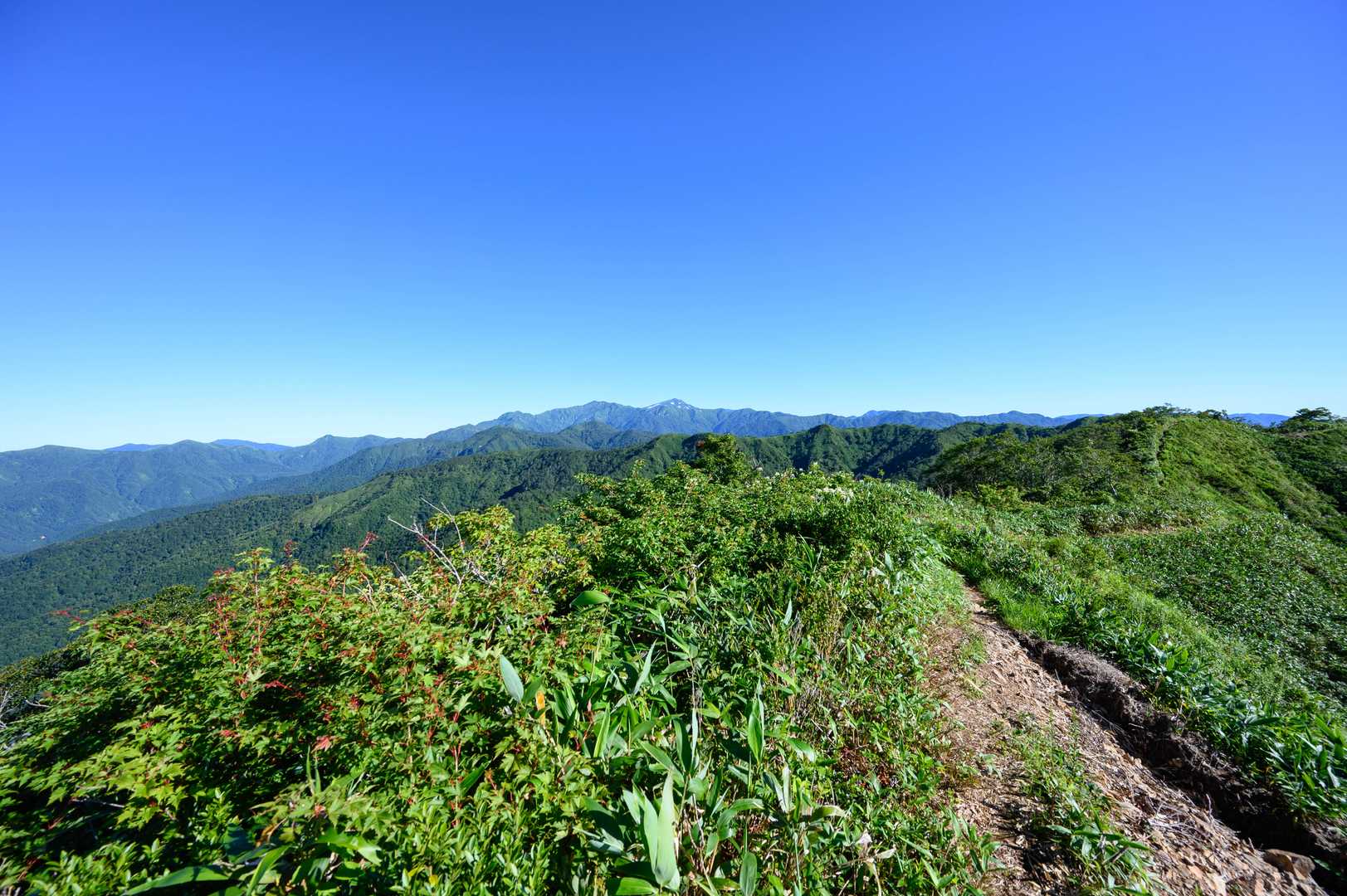 白山が見えます
向こうも快晴ですね