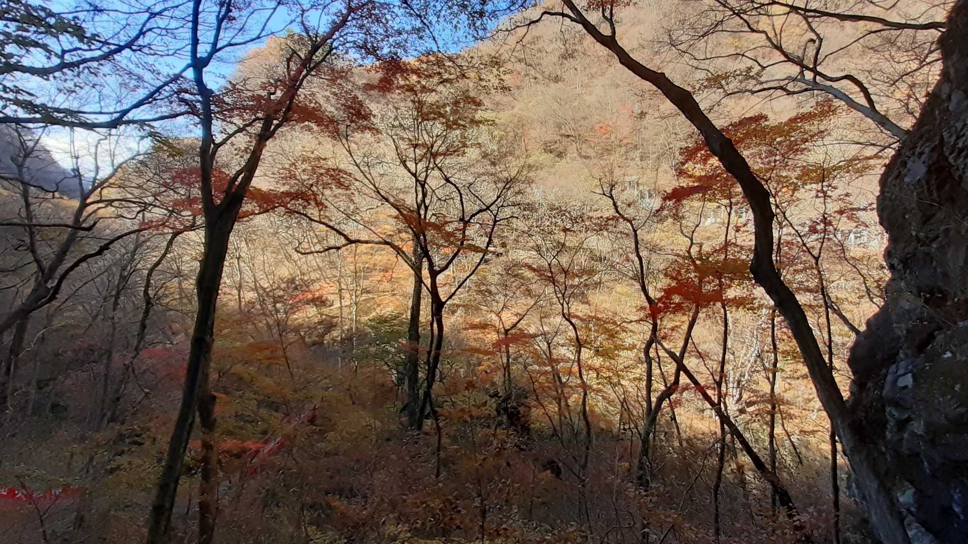 十二沢パーキング発着｜吾妻渓谷往復コースの写真