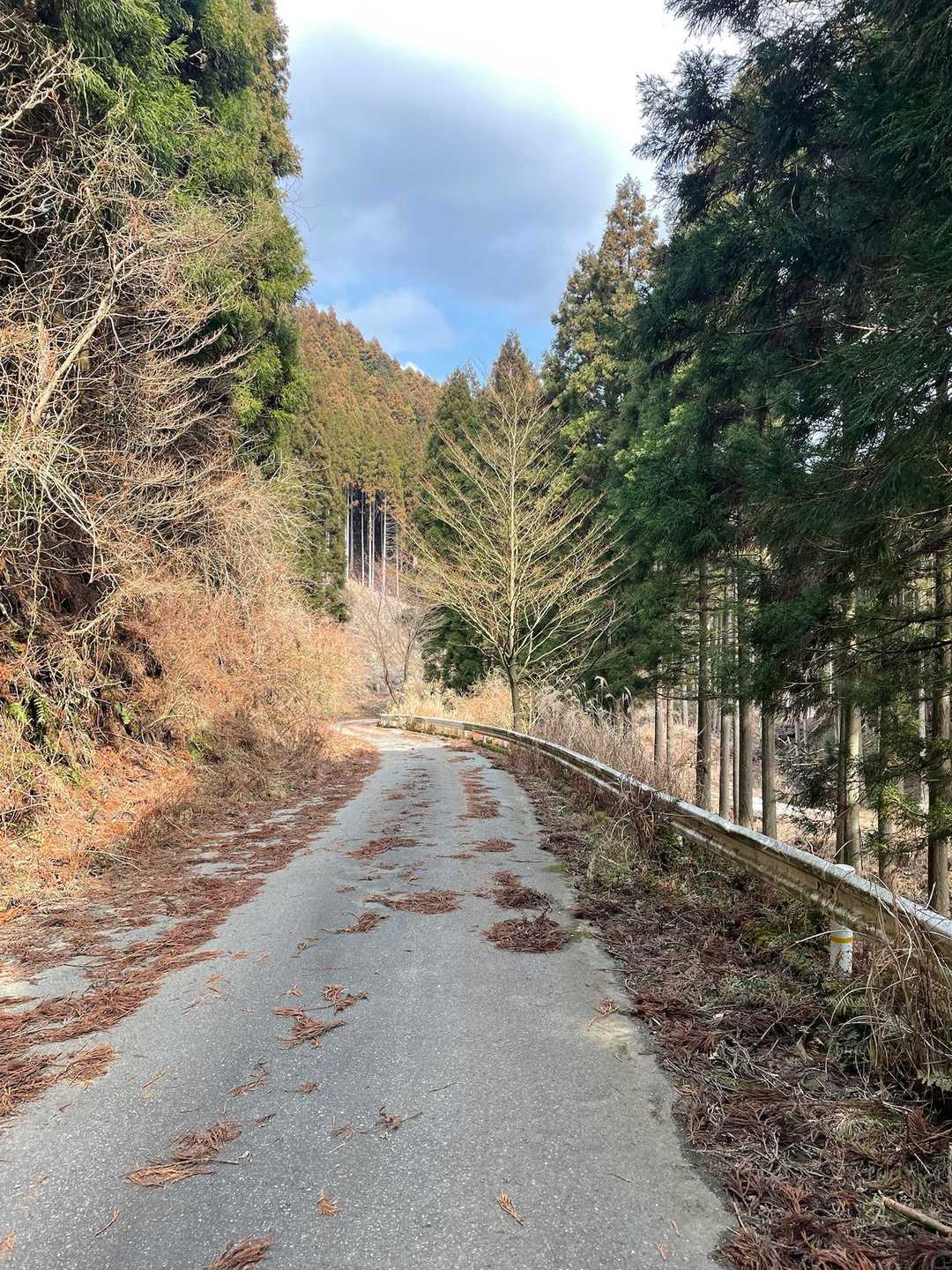 あとは車まで戻るだけ