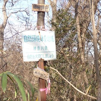 雌龍籠山（めたつごやま）351m