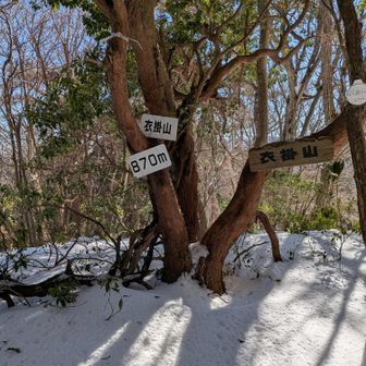 衣掛山⛰️山頂です！
