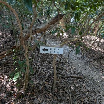 立花山登山口へ帰る途中にも