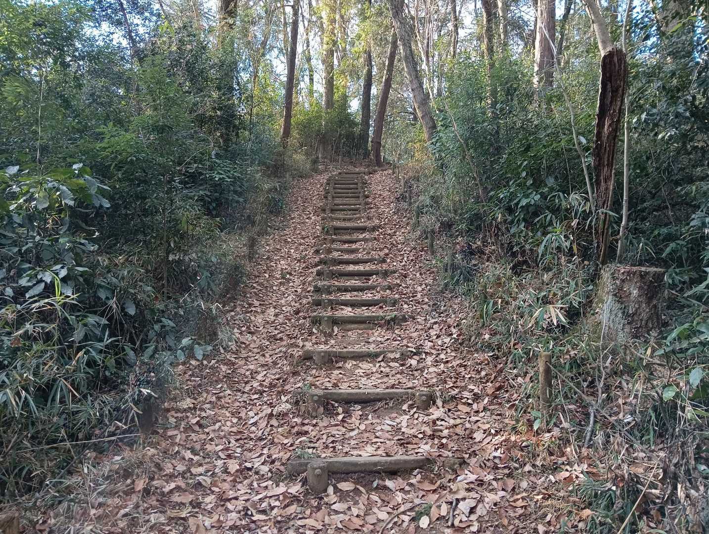 階段を🚶