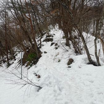 お邪魔しました🙏