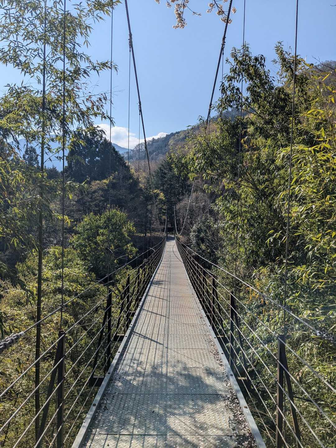 大室山 往復コースの写真