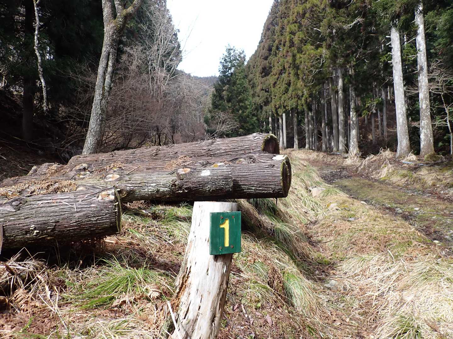 あ、番号1番！これは、できるだけ写真とろっと。