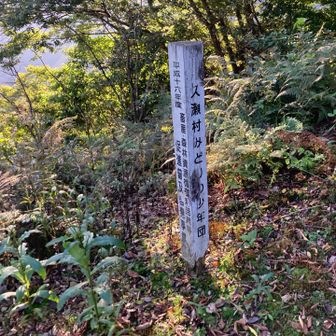 帰宅してから気づいたがここが登山口付近らしい。