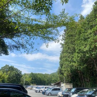 やっと駐車場に戻ってきました。ジリジリする暑さ。40℃ありました。朝から12℃も上がりました🥵ほぼ満車。