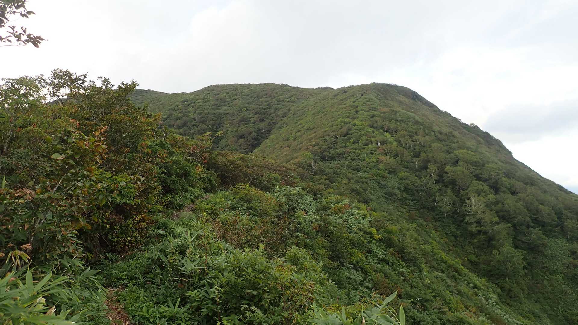 花立から見ると単なる尾根の一つだから、地味に見えるのが難点