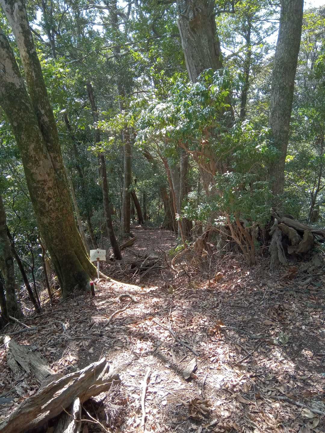 浅間山（千葉県鴨川市清澄）の写真