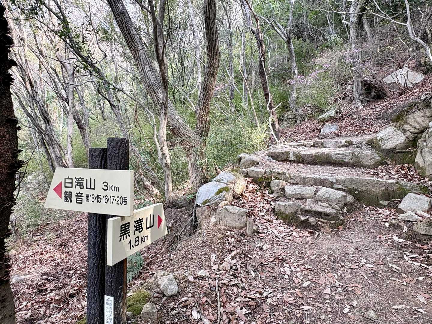 まずは黒滝山へ↗️